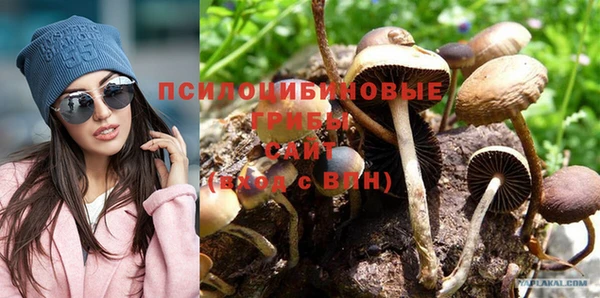индика Алексин