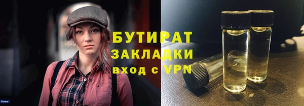 индика Алексин