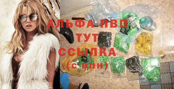 индика Алексин