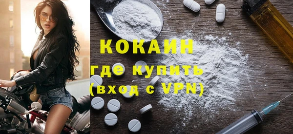 индика Алексин