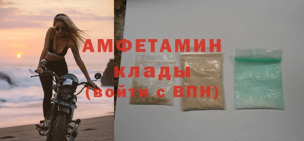 индика Алексин